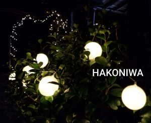 焚き火と遊ぶ夜のプライベートガーデン